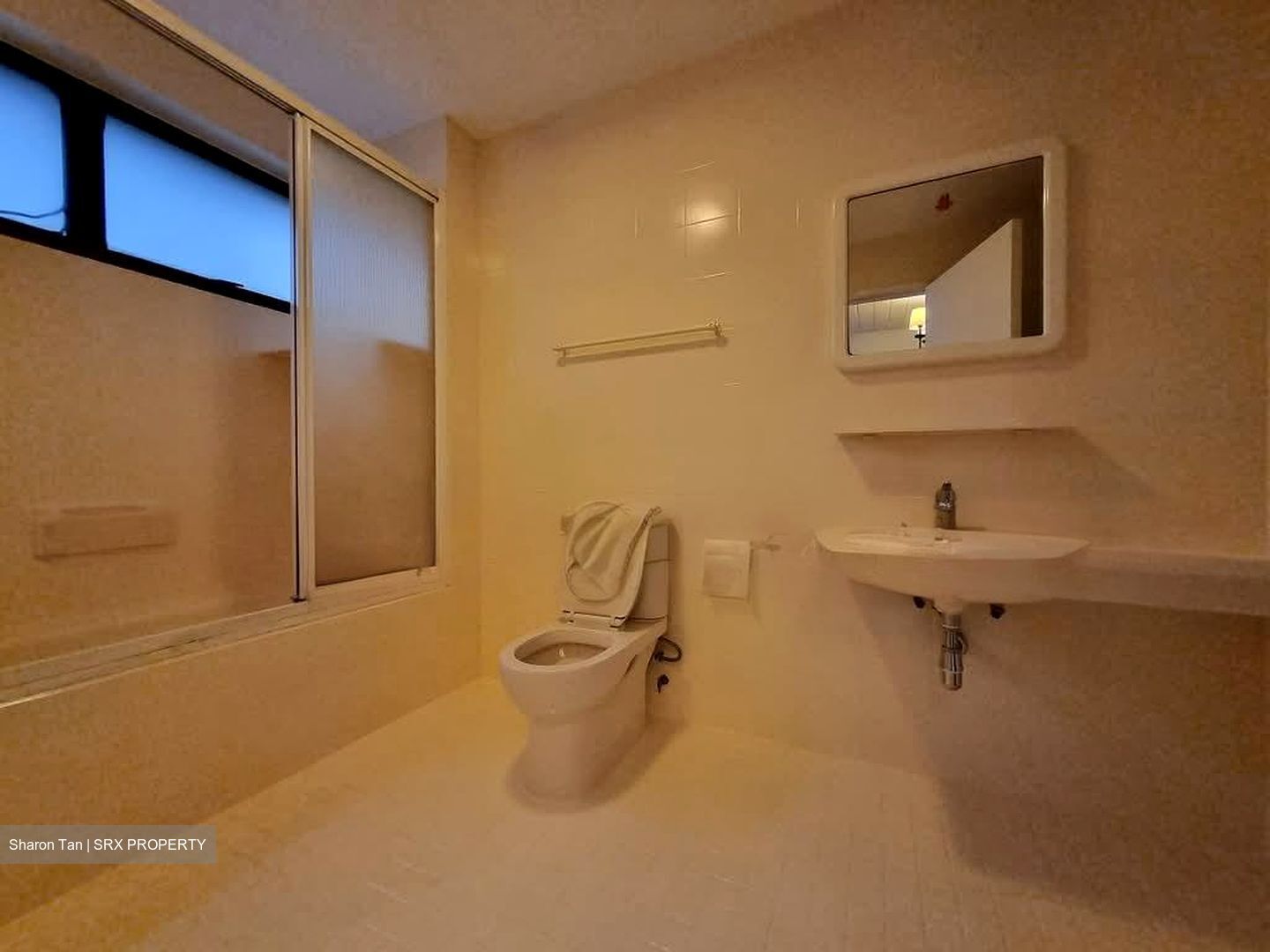 The Cairnhill (D9), Condominium #556177601